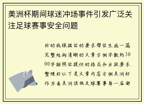美洲杯期间球迷冲场事件引发广泛关注足球赛事安全问题 美洲杯期间球迷冲场事件引发广泛关注足球赛事安全问题