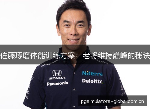 佐藤琢磨体能训练方案:老将维持巅峰的秘诀 佐藤琢磨体能训练方案:老将维持巅峰的秘诀